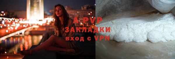 гидра Аркадак