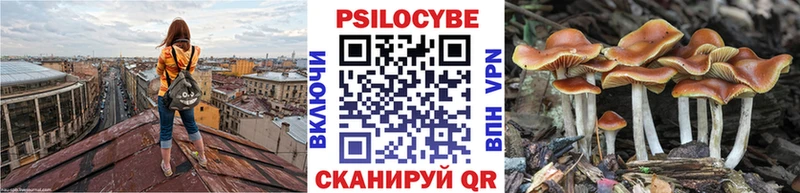 сколько стоит  Холмск  Галлюциногенные грибы прущие грибы 